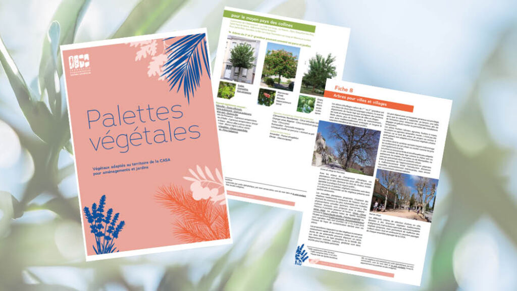 Diversifier et renforcer la qualité de nos paysages avec le Guide « Palette Végétale »