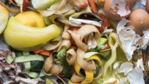 Semaine Européenne de Réduction des Déchets