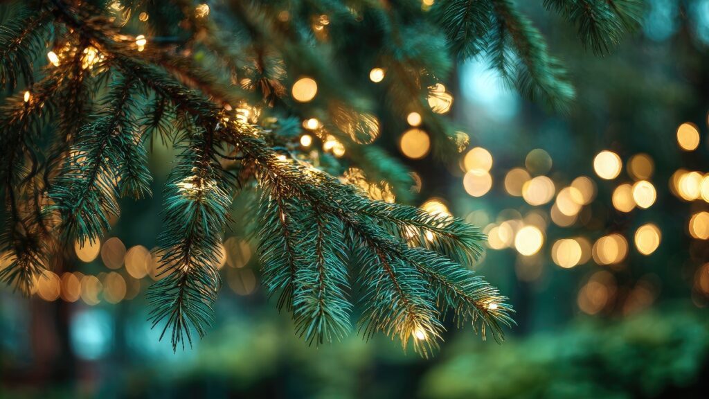 Cérémonie Illuminations